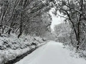 Schuss Alpine Club, Falls Creek - Dartmouth