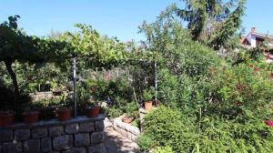 Apartment in Bogovici - Insel Krk 53311