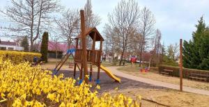 Holiday home in Zamardi - Balaton 53551