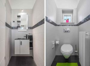 Holiday home in Cerovlje - Istrien 51826