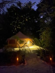 SurFreak Backyard Glamping CoWorking Experience