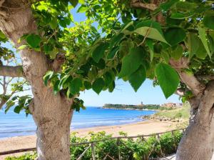 Holiday home in Stumio - Kalabrien 51311