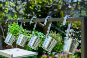 Apartment in Pula - Istrien 51818