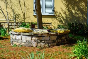 Apartment in Pula - Istrien 51818