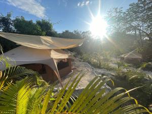 SurFreak Backyard Glamping CoWorking Experience