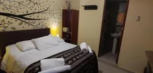 AguascalientesRoyalMapi - Machu Picchu