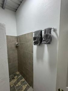 Tiny jungle house, few minutes from the beach