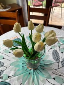 Apartments with parking space Bozava, Dugi otok - 23903