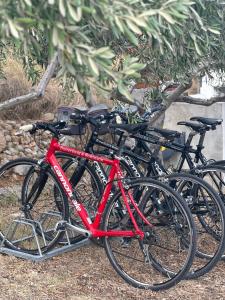 Holiday house with a parking space Bol, Brac - 23788