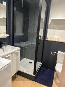 Appartements Cosy, lumineux - 1ch'- 2 lits - 4pers'- Streaming : Appartement 1 Chambre