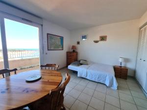 Studio cabine avec terrasse ensoleillée à Port-Vendres - FR-1-309-256