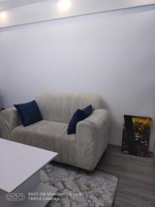 Alina ridge apartments