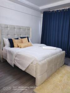 Alina ridge apartments