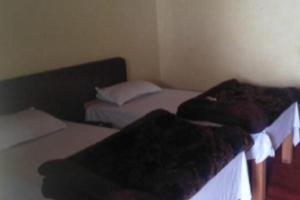 Akash Ganga - Backpackers Den by StayApart