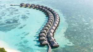 Cocoon Maldives -Inclusive