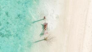 Cocoon Maldives -Inclusive