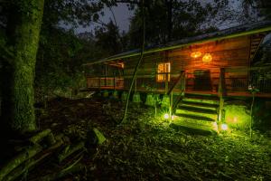 Matumi Trail Forest Lodges - Matumi and Mitzeeri