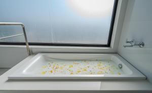 SaffronStays Glass Forest