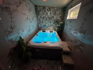 Maisons de vacances La suite Aphrodite : photos des chambres