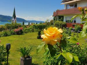 Ferienwohnung Panorama Seesicht