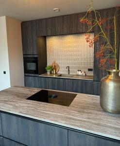 t Voorhuys Noordwijk aan Zee- tuin en gratis parkeren