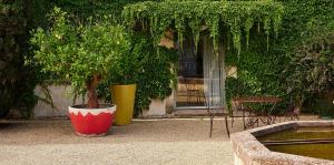 Maisons d'hotes Mas de la Galegiere - Les Chambres d-Hotes : photos des chambres