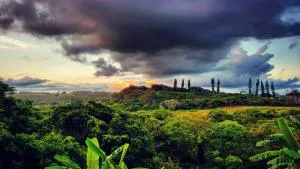 Beach Cottage Pumula - Umzumbe