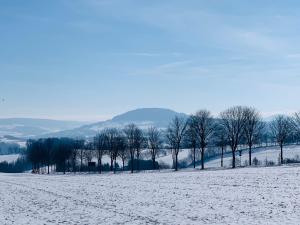 Am Schloss Wolkenstein, 86m2, 3BR, Babybett, Office