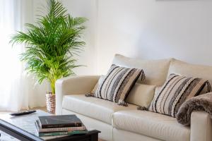 Oasis Urbano Elche - Terraza y Vistas al Palmeral junto al Centro