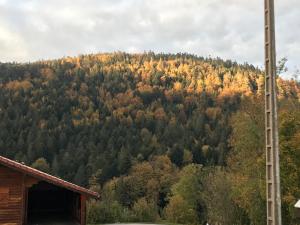 Maisons de vacances Refuge des cimes : photos des chambres