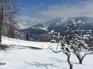 Ferienwohnung Mitterleithengut