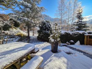 Chalets Le Noisetier - Mini Chalet 2 pers - 2min la Clusaz - AravisTour : photos des chambres