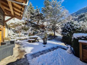 Chalets Le Noisetier - Mini Chalet 2 pers - 2min la Clusaz - AravisTour : photos des chambres