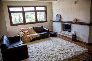 Chalet Niki