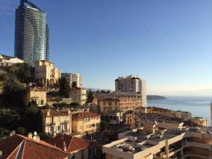 Amazing see view with big balcony near Grimaldi and direct lift to Monaco close to Casino and Larvotto Parking available u