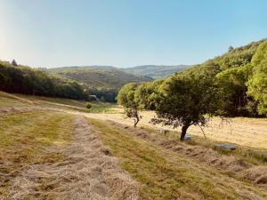 B&B / Chambres d'hotes Nabat le Haut, chambre et table d'hotes : photos des chambres