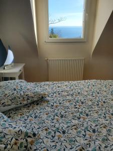 Maisons de vacances Bellevue : photos des chambres