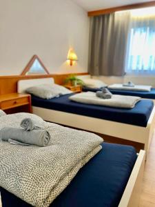 Schwanstetten bei Nürnberg, gemütliches Apartment mit Küche Bad TV