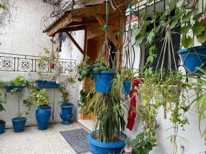 Casa Zitouna - Guest House - Kef, Tunisia