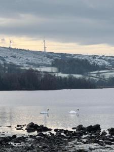 Dulrush Lodge Guest House, Restaurant and Self-Catering