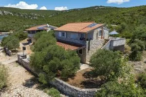 House Dolphin - Pinizelić