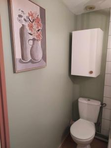 Studette COSY 2 couchages proche TOURS