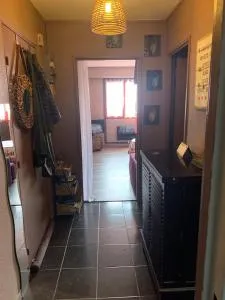 Appartement en attique 2 balcons 50m2 au calme - Reichstett