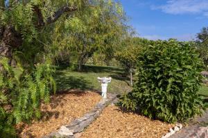 Monte dos Casarões- Casinha