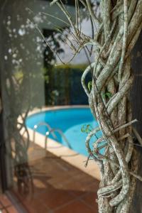 Monte dos Casarões- Casinha