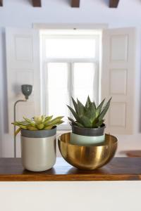 Casa Amarela Sao Luis