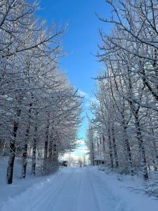 Cozy, forest cabin #3 in Hvolsvöllur - Self check-in!
