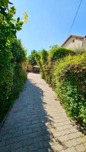 Chambre privée dans logement partagé, Pinky Elisabeth cozy Paris & Stade de France