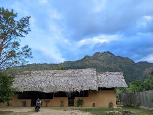 Rich Secret Rooms Ella