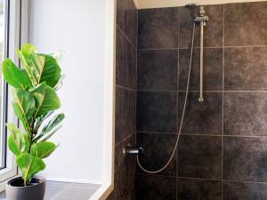 Viborg Guesthouse - Billig Overnatning Viborg